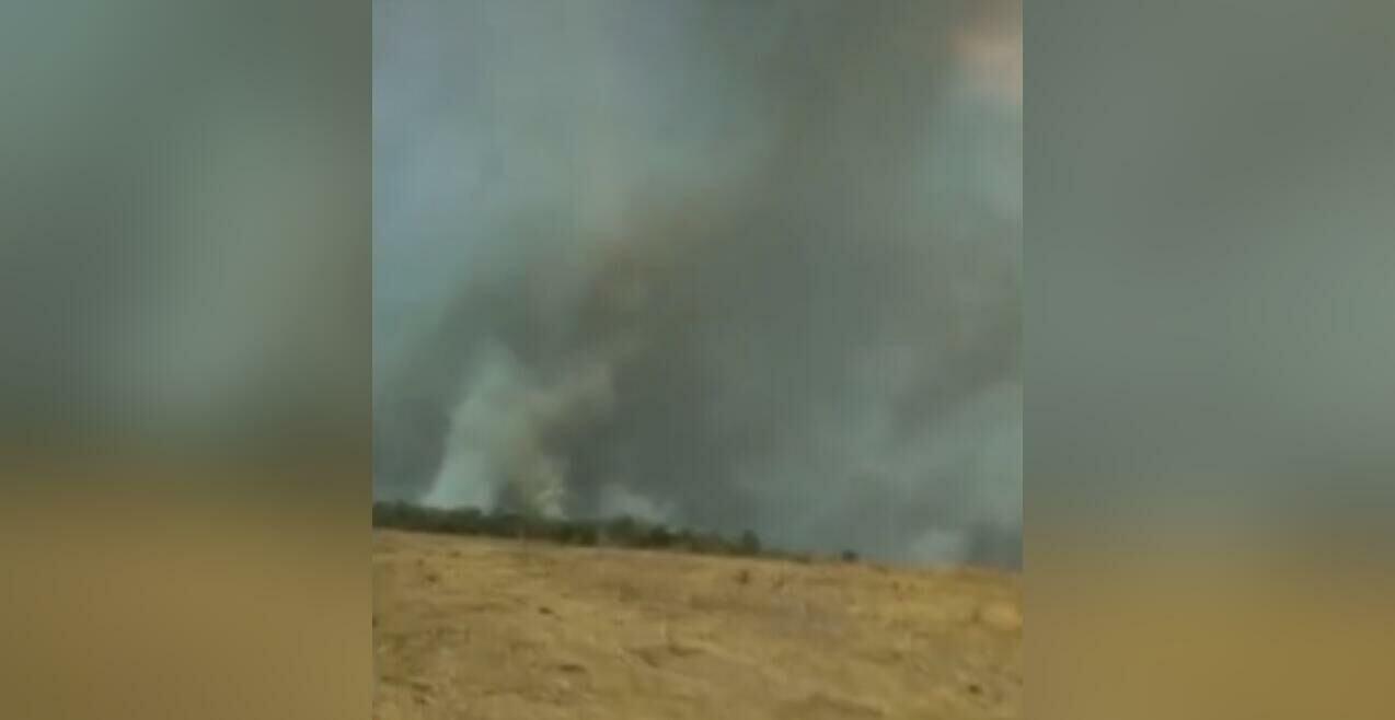 Imagem de compartilhamento para o artigo Fogo chega às áreas de lavoura e pastagens em Alcinópolis da MS Todo dia